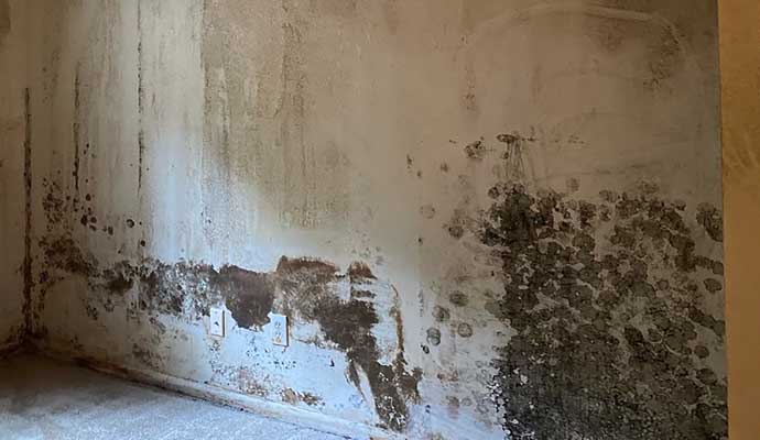 A moldy wall