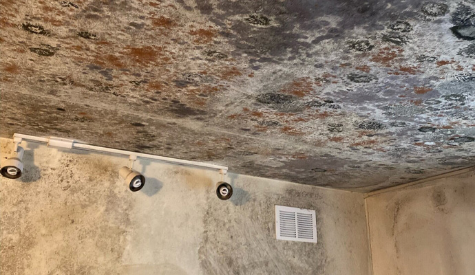 black mold on the ceiling