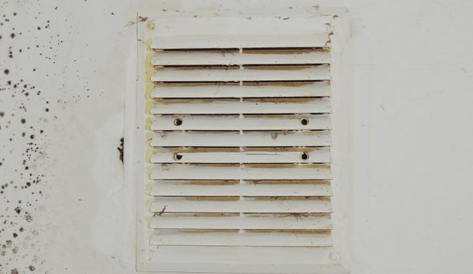 mold in hvac vent