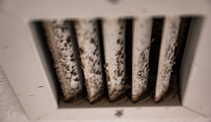 mold in hvac vents