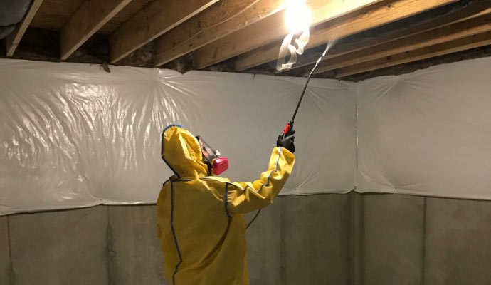 Structural Mold Remediation in Cincinnati & Columbus