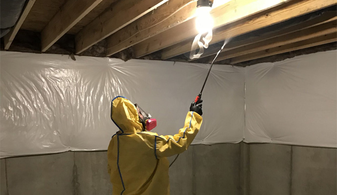 professional worker cleaning basement