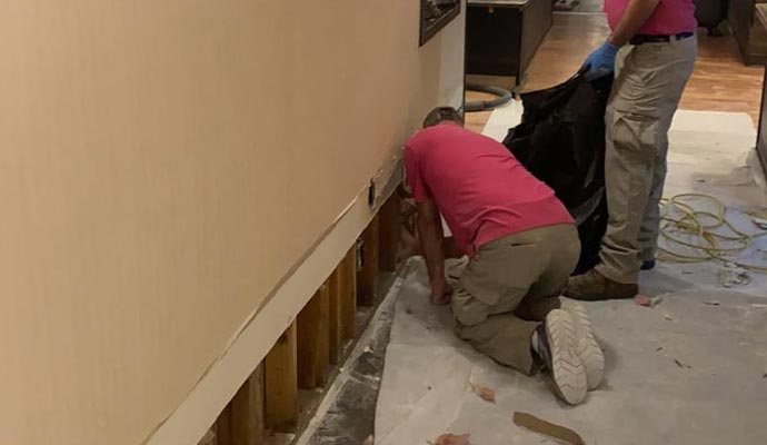  two people working on exposed wall studs and insulation during a repair