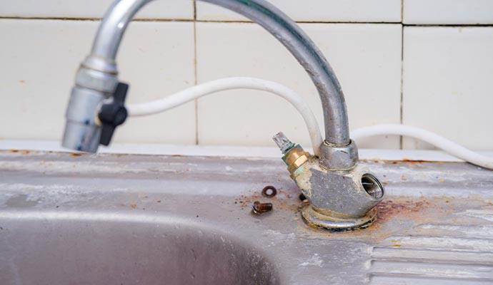 mold near faucets